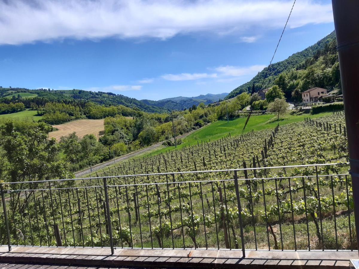 Agriturismo Pedrosola Brisighella Luaran gambar