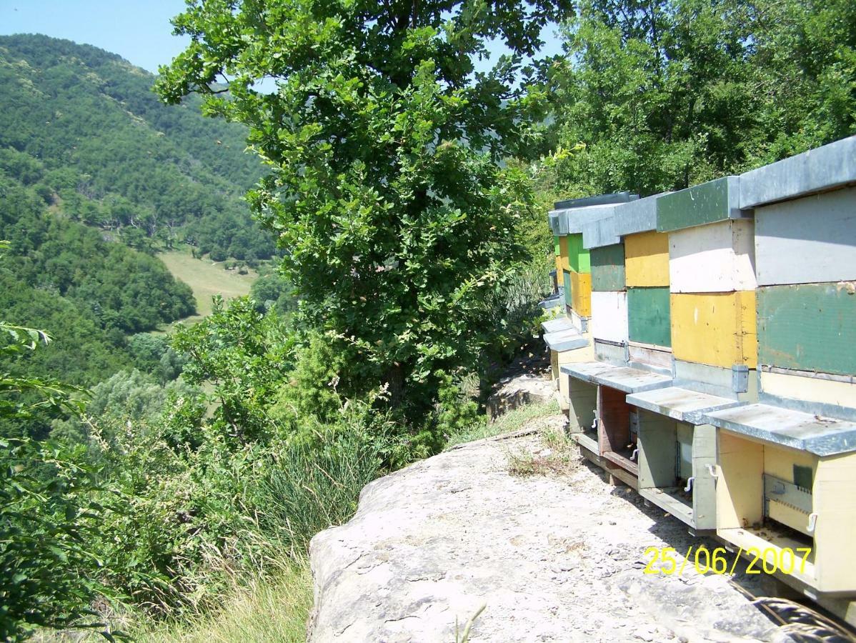 Agriturismo Pedrosola Brisighella Luaran gambar